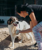 /album/220/whatsapp-image-2026-01-14-at-22-07-12-1-jpeg/